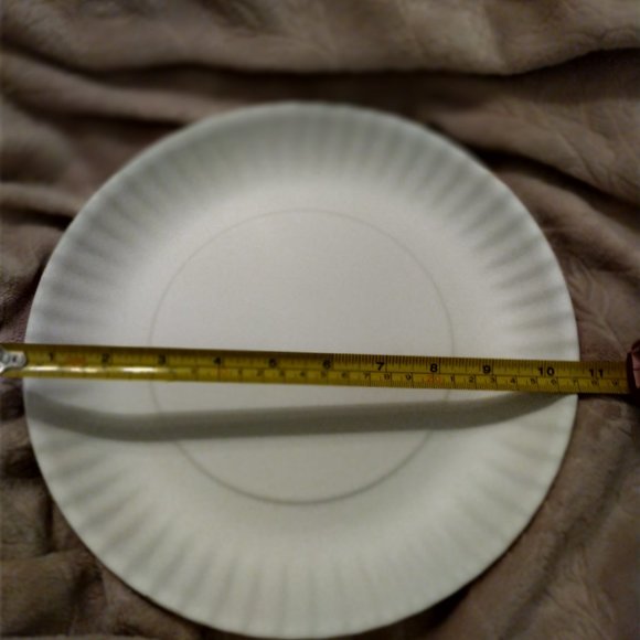 18 pc Melamine Paper Plates Dinnerware - Picture 4 of 6